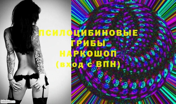 spice Арсеньев