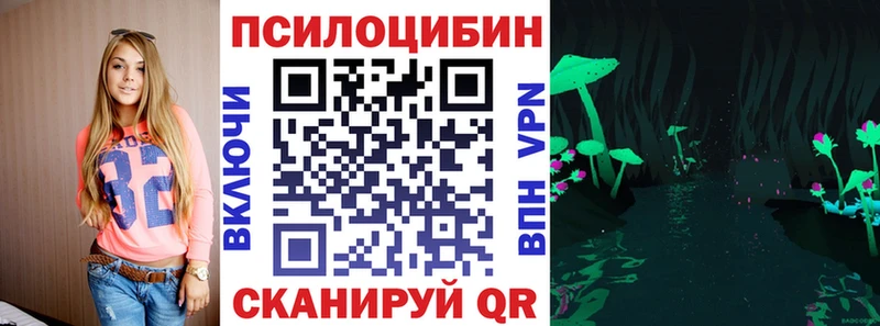 mega вход  купить наркотик  Гурьевск  Галлюциногенные грибы Psilocybe 