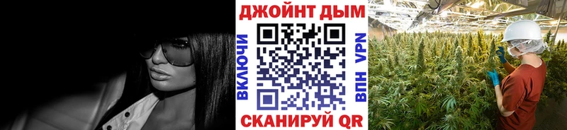 Марихуана план  Гурьевск 